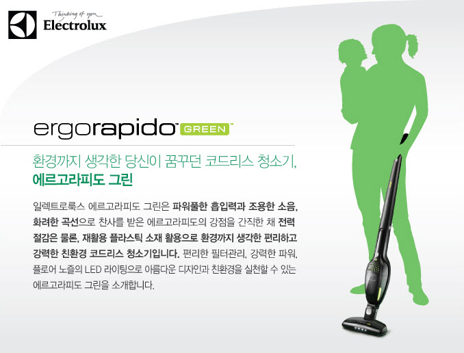 Electrolux Ergo Rapido green cordless vacuum cleaner Antique Steel ZB2901G1